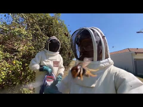 Grosse surprise dans le roncier pour le distributeur de combinaisons￼