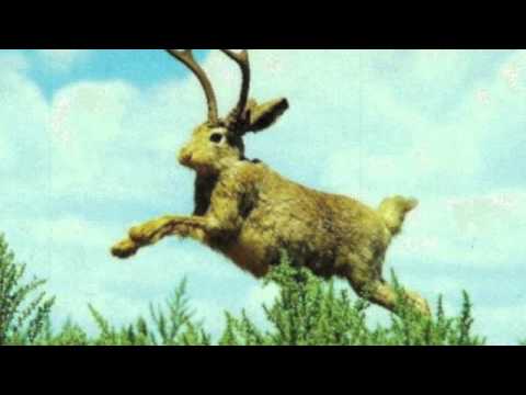 Little Big Sea - Saturday