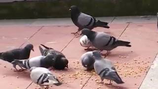 CossaRarra - Cosmic Perspective - Mndsgn