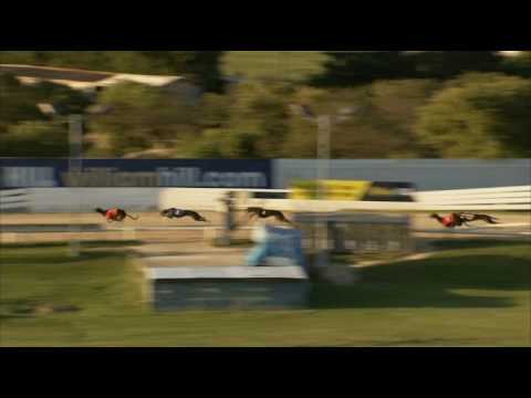 2017 WILLIAM HILL CLASSIC - HEAT 1 -  T5 NEWINN SHADOW