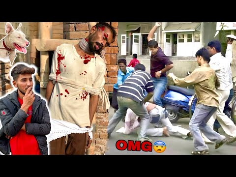 Why did the dog bite the girl? Why did the family members kill the hunter?