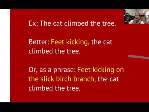 Write like a Pro Tip #2 Absolute Phrase Explanation