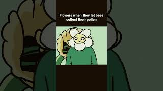 Credits: @raredoodle MR PLANT #funny #mrbeastmeme