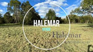 Video: Vendo Parcela 5000 m2 en Parcelación Ríos del Chucao