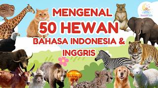 Download lagu Belajar Kata Pertama | 50 Nama Hewan dalam Bahasa Indonesia & Inggris✨ | Stimulasi Bicara untuk Anak mp3 Download lagu Belajar Kata Pertama | 50 Nama Hewan dalam Bahasa Indonesia & Inggris✨ | Stimulasi Bicara untuk Anak mp3