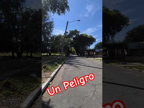 Esto es un PELIGRO LA HABANA