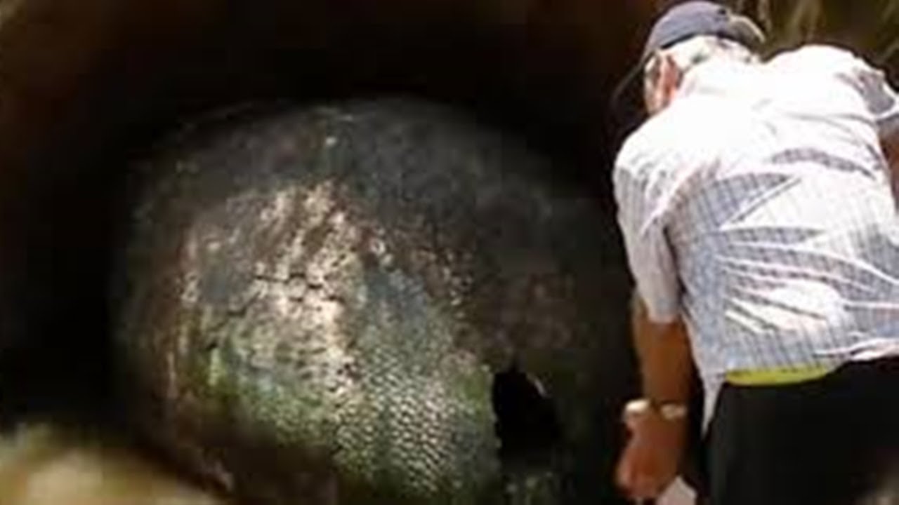 THEY DID NOT BELIEVE IN WHAT THEY FIND