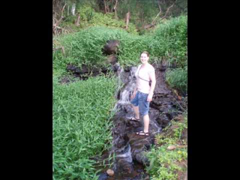 Cool video- "BEST Job in the World"-  Island Reef Job in Australia