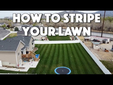 How To STRIPE YOUR LAWN