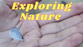 A day out exploring Virginia