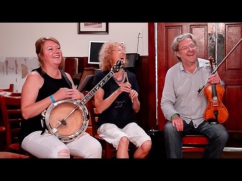 Bergin,Sheridan,Nugent,Earnest,Conneely:Plains of Boyle/Cronin's Hornpipe:Catskills Irish 2016#100