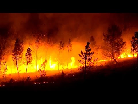 Worst wildfire season in decades burns over 340,000 hectares in Spain