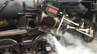 Clarks Training Post Train