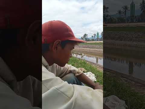 cover cinto balain raso David Iztambul