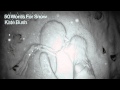 Kate Bush - "50 Words For Snow" (Full Album Stream)