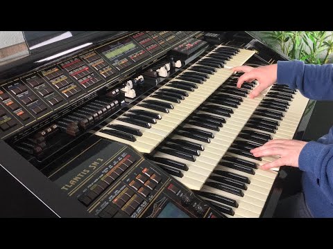 Another Day in Paradise (Phil Collins Cover) / Florian Hutter - Wersi Atlantis SN3