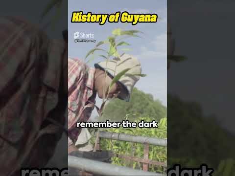 #Guyana history
