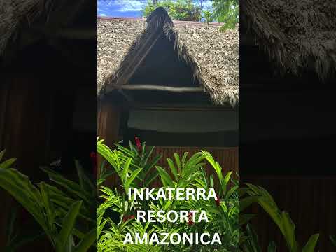 PERU AMAZON RESORT  -   ПЕРУ АМАЗОН, КУРОРТ #shorts #peru #amazon #travel