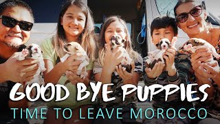 Leaving Our Puppies and Attempting To Leave Morocco During Lockdown // Season Finale