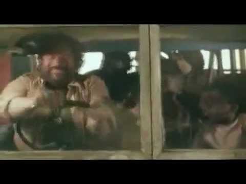 Grau grau grau - Io sto con gli ippopotami - Pela medida grande - Das Krokodil und sein Nilpferd