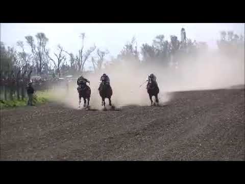 WENCESLAO ESCALANTE 7/9/2025 GANADOR "FIESTERO"