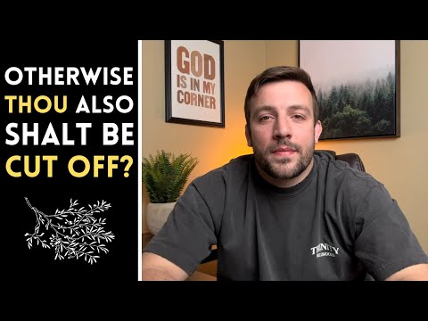 Does Romans 11 DEBUNK Once Saved Always Saved ⁉️