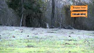 MOJOs Coming to the Call - Triple Up With The Double Trouble