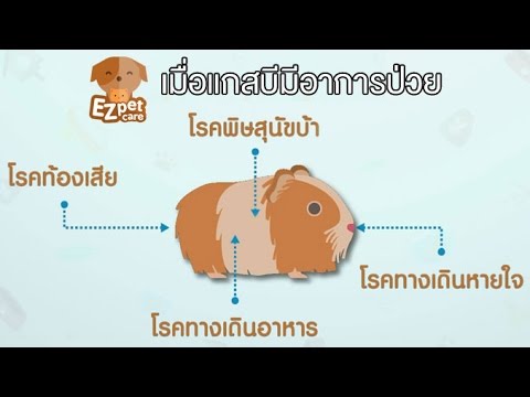 Photodynamic บำบัดการแสดงความคิดเห็นเป็นโรคสะเก็ดเงิน Neurodermatitis กระจายสามารถที่จะทำให้รุนแรงขึ้น