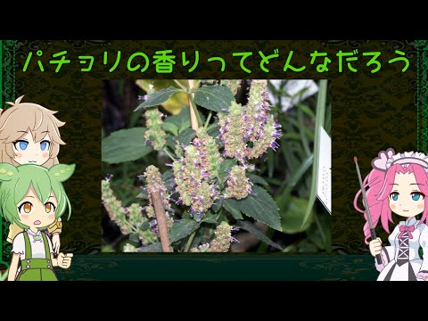 力の香り:研究者がジュリアス・シーザーの香水を復元