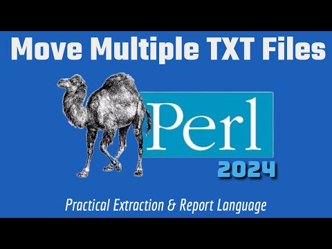 Perl Tutorial: Move Multiple TXT Files Code Example 2024