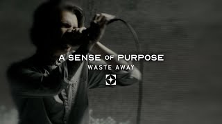 A Sense of Purpose - WASTE AWAY (Official Music Video)