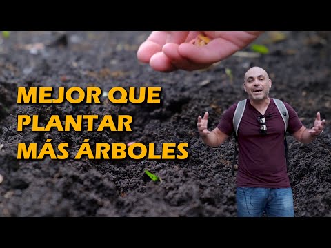 Reforestar España con 47 millones de árboles, uno por habitante