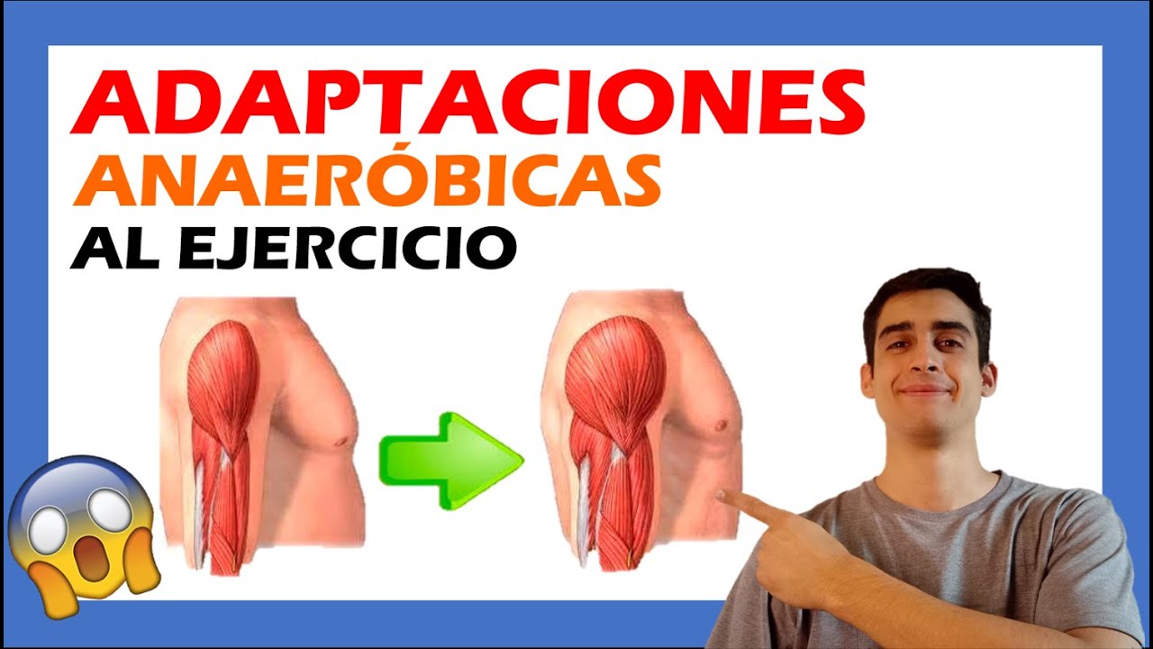 💯🆙⬆ ADAPTACIONES METABOLICAS al ENTRENAMIENTO (fácil) Adaptaciones ANAEROBICAS AL EJERCICIO