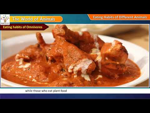 The World of Animals