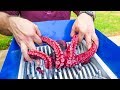 GIANT OCTOPUS VS FAST SHREDDER!  COOL EXPERIMENT