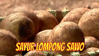 Download lagu SAYUR LOMPONG SAWO | JEJAK SI GUNDUL  (31/08/21) mp3