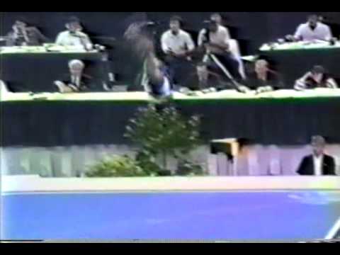 5th T CZE Iveta Polokova FX- 1985 World Gymnastics Championships 9.800.avi