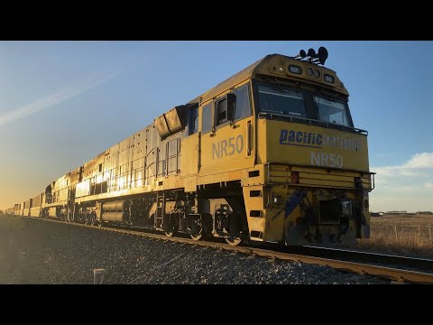 Up 1PM5 Pacific National container train with NR50 and NR89 arriving into Barwon Park loop 26/2/2025