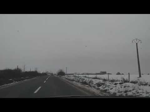 belfir calacea bihor(4)