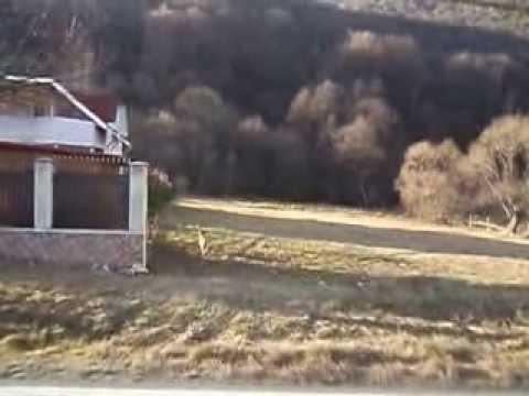 Casa Elena, teren Poiana Sarata, 1500mp, langa vile