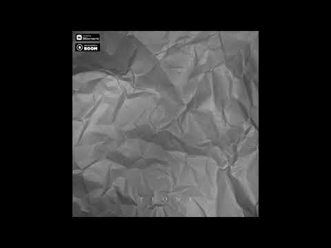 T1One- Художник