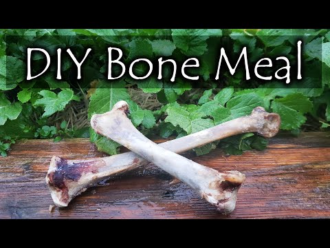 YouTube video about: How to make fish bone powder?