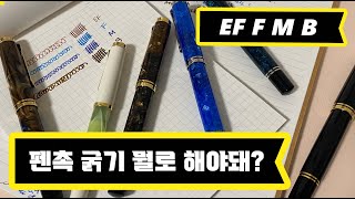 펠리칸 펜촉별 굵기 비교｜EF, F, M, B 촉 비교｜ペリカンペン先字幅比較