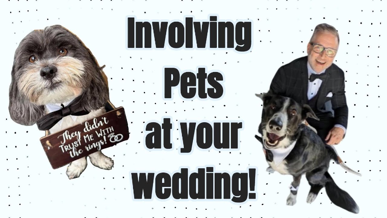Involving Pets at your wedding