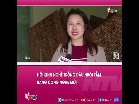Hồi sinh nghề trồng dâu nuôi tằm