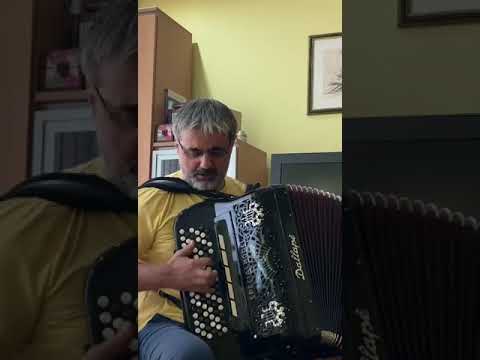 Nevestino oro                                                 Kompozitor - Ljubiša Pavković