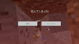 【マイクラ】すてるだむのTT　07