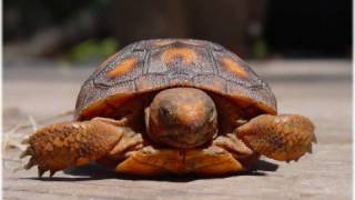 Disco Inferno - The Mixing It Session - Part I