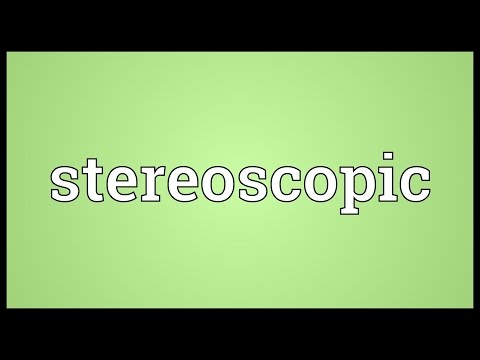 Stereoscopic Meaning
