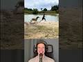 Beautiful Connection Between A Donkey And A Human When Playing By Jefin Nordestino